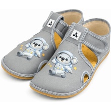 Antal Rascal Koala