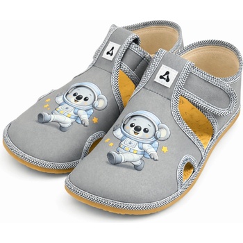 Antal Rascal Koala