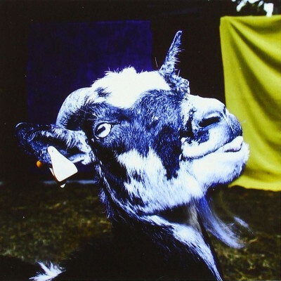 BARELY AUTUMN - DAY TRIP TO THE PETTING Z CD