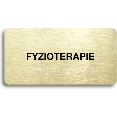 ACCEPT Piktogram FYZIOTERAPIE - zlatá tabulka - černý tisk bez rámečku
