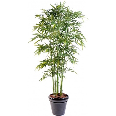 BAMBUS NEW GREEN, 210cm