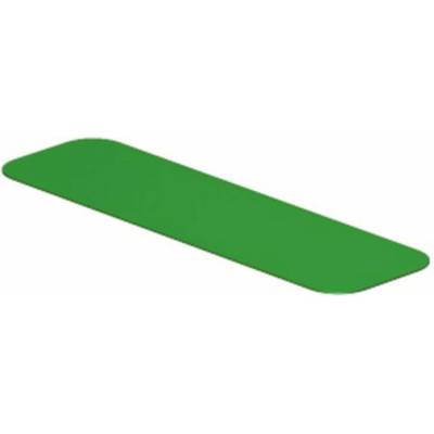 Weidmüller 2006490000 SM 27/8 MM GN značení přístrojů Druh montáže: nalepení Potisknutelná plocha: 8 x 27 mm zelená Poče