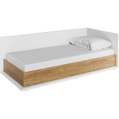 Catalina Karlos P dub hikor