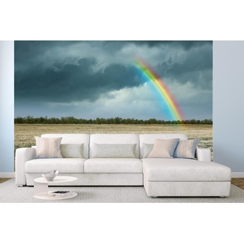 DIMEX ART s. r. o Самозалепваща се флизелинова фототапета дъга над поле с лайка 375 x 250 см