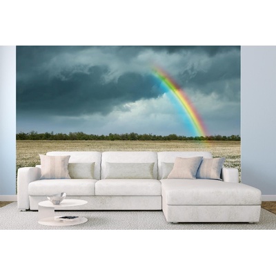 DIMEX ART Самозалепваща се флизелинова фототапета дъга над поле с лайка 375 x 250 см