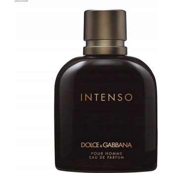 Dolce & Gabbana Intenso parfémovaná voda pánská 125 ml