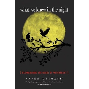 What We Knew in the Night | Raven Grimassi, Deidra Catero (ISBN: 9781578636518)