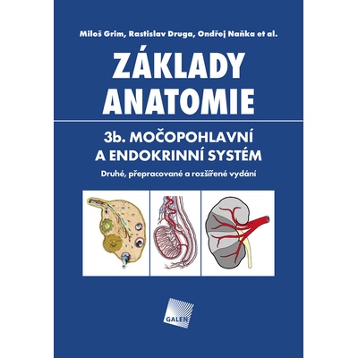 Základy anatomie. 3b. Močopohlavní a endokrinní systém - Miloš Grim, Rastislav Druga, Ondřej Naňka