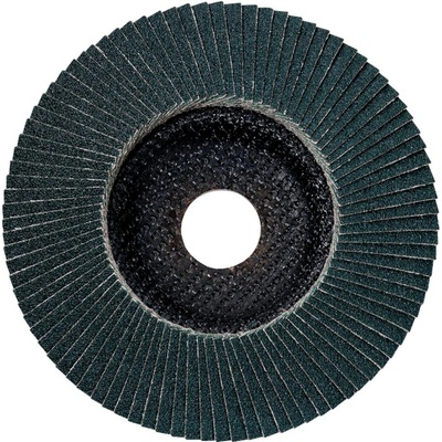 Metabo Lamelový brúsny kotúč 22.23 mm 624248000 10 ks