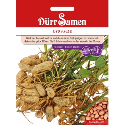 Dürr Samen Arašid - 1 bal.