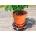 Nortene Поставка за цветя Nortene FLORA ROLL STRONG, Ø40 см, до 200 кг