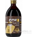 ARTLIFE CHAGA CELLULAR s rakytníkom a propolisom 450 ml