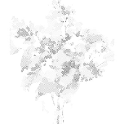 ZUTY Bodkovanie - KYTICA ORGOVÁNOV Rámovanie: bez rámu a bez vypnutia plátna, Rozmer: 40x50 cm