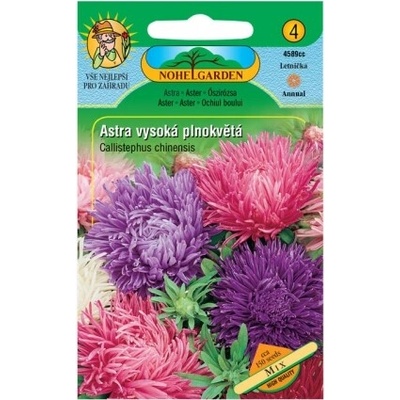 Nohel Garden Astra čínska vysoká plnokvetá, zmes
