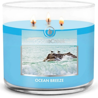 Goose Creek OCEAN BREEZE 410 g
