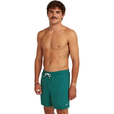 O'Neill Бански гащета O´neill Vert 16´´ swimming shorts - Green (Botanical Heat)