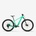 Rockrider E EXPL 900 2025