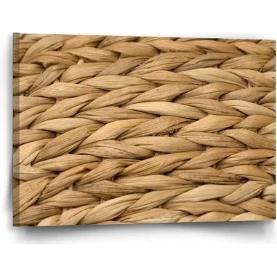 Sablio Obraz Banánové listí 2 - 60x40 cm