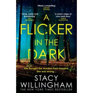 Flicker in the Dark (ISBN: 9780008454487)