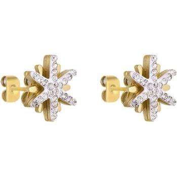 Image 1 of Daniel Klein Дамски обеци Daniel Klein DKJ. 3.5025-2 (DKJ.3.5025-2)