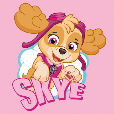 Carbotex detský lisovaný bavlnený uterák 30 x 30 cm Paw Patrol