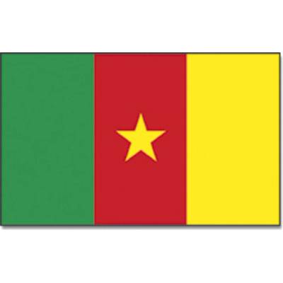 Vlajka Promex Kamerun 150 x 90 cm