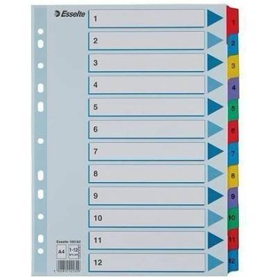 Zesílené rejstříky "Mylar", mix barev, karton, A4, 1-12, ESSELTE