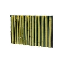 Hobby Bambus zadná stena 58 x 39 cm