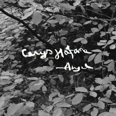 Cerys Hafana - Angel (Bio Coloured) LP