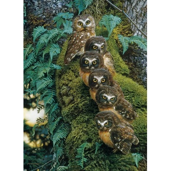 Cobble Hill - Puzzle Family Tree - 1 000 piese