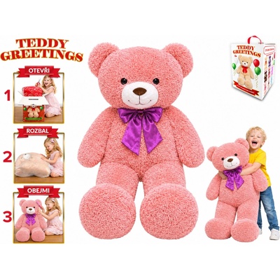 Mikro trading Teddy Greetings 120 cm růžová