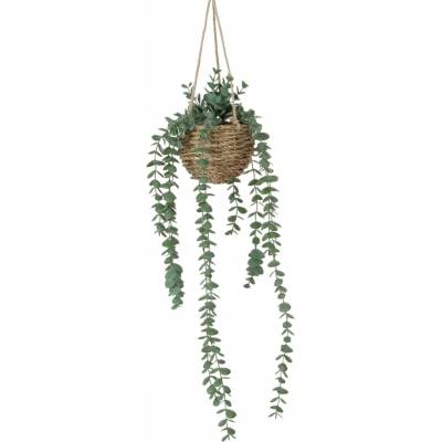 Boltze Umělá závěsná rostlina EUKALYPTUS, 78 cm