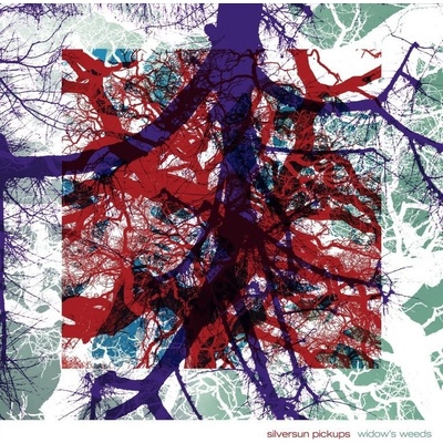 Widow's Weeds - Silversun Pickups CD