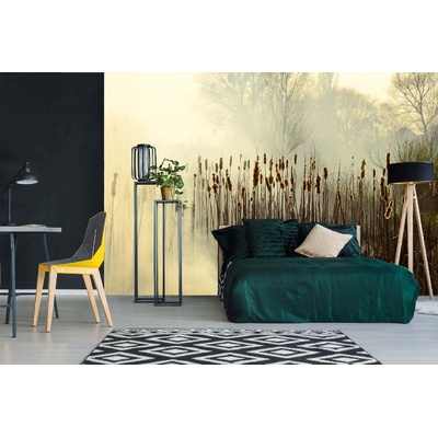 DIMEX ART Самозалепваща се флизелинова фототапета тръстика в мъглата 375 x 250 см