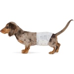 Amazon Basics Disposable Dog Diapers for Male Dogs, Size S, White, 50-Pack