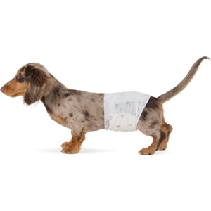 Amazon Basics Disposable Dog Diapers for Male Dogs, Size S, White, 50-Pack