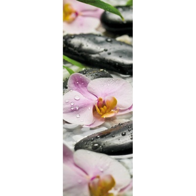 Komar Vliesová fototapeta Wellness rozměry 100 x 280 cm