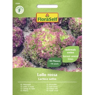 Salát listový Lollo Rossa FloraSelf