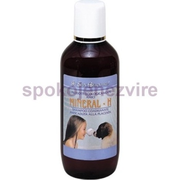 IV San Bernard mineral H 3 l