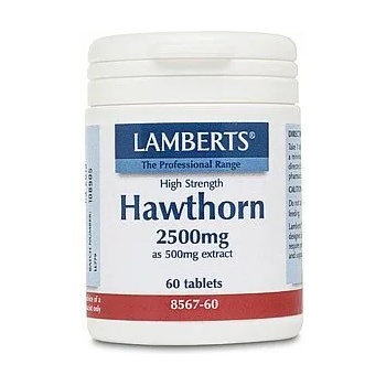 Image 1 of LAMBERTS Хранителна добавка Глог, Lamberts Hawthorn 2500mg 60 tabs