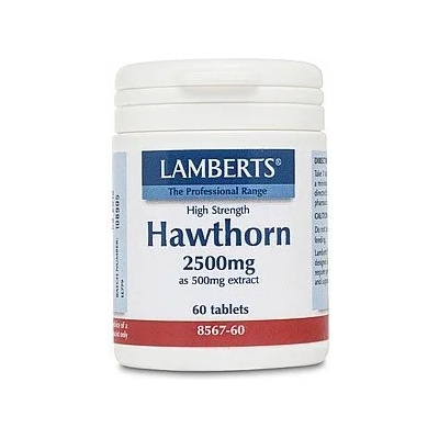 LAMBERTS Хранителна добавка Глог, Lamberts Hawthorn 2500mg 60 tabs