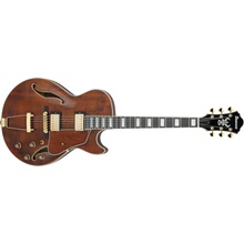 Ibanez AG95MG-DA