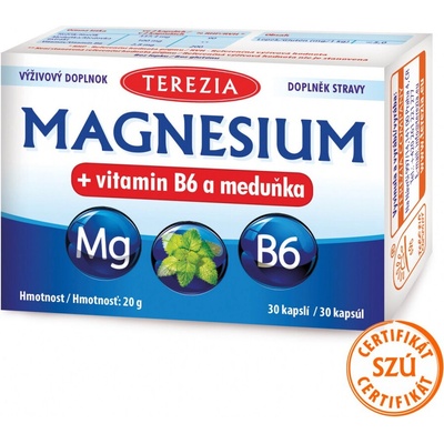 Terezie Magnesium + vitamin B6 a meduňka 30 ks + dárek Vitamin D3 1000 IU 30 ks