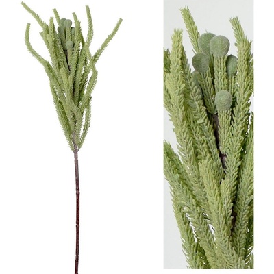 AKCIA! KS BRUNIA 67CM