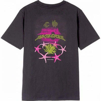 SANTA CRUZ tričko Natural Bridges T-Shirt Black Wash BLACK WASH