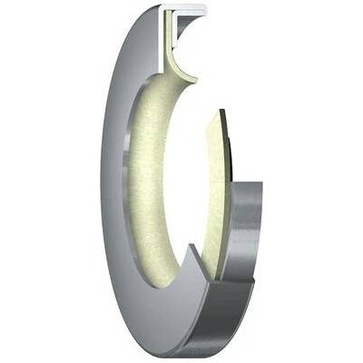 36-62-8 B2 PTN IBL PTFE gufero