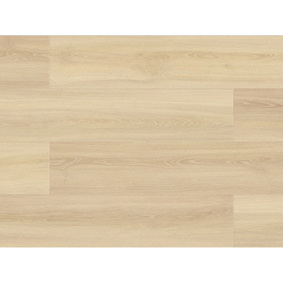 KPP Smart Dub Ilona 2,196 m²