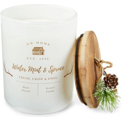 DW HOME Winter Mint & Spruce 244 g