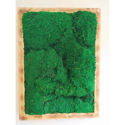 Machový obraz- lesný mach 75cm x 55cm