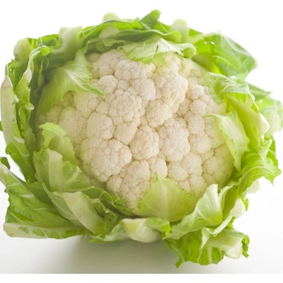 Karfiol skorý Erfurter Zwerg - Brassica oleracea var. botrytis - semená karfiolu - 120 ks